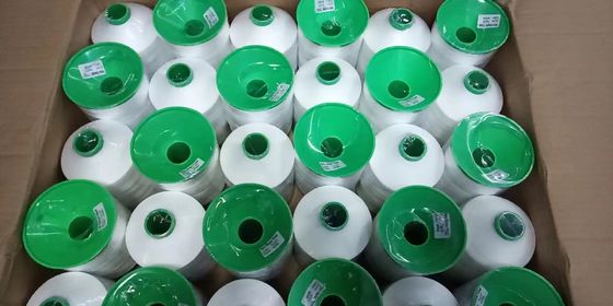 400 g High Strength Nylon Thread Tex135 420D/3 Polyester lederen naaigarn voor goederen
