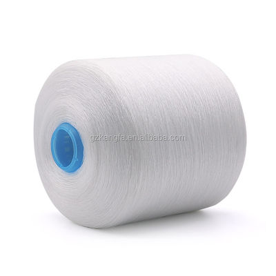 100% polyester garen gratis monster zonder vracht en OEM/ODM ondersteuning
