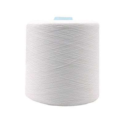 100% polyester garen gratis monster zonder vracht en OEM/ODM ondersteuning
