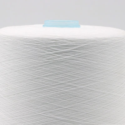 100% polyester garen gratis monster zonder vracht en OEM/ODM ondersteuning