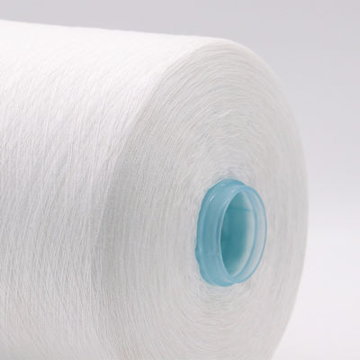 100% polyester garen gratis monster zonder vracht en OEM/ODM ondersteuning
