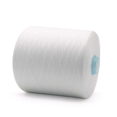 100% polyester garen gratis monster zonder vracht en OEM/ODM ondersteuning
