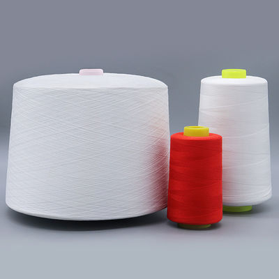 Vervaardiging Productie 1,25 kg ruw wit 60/2 gesponnen polyestergarens met chemische weerstand