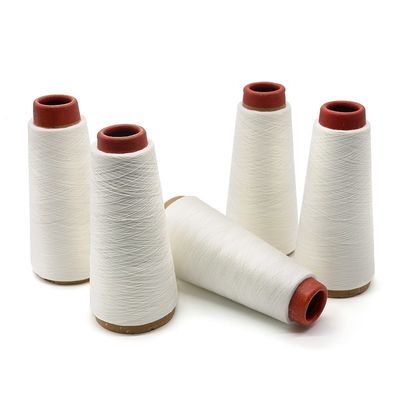 100% polyester 40s/2 20 graden wateroplosbaar Pva garensdraad voor het naaien van Pva mesh