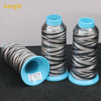 OEM/ODM 96 Kleuren Gediversifieerde Multicolor 100% Polyester Borduurdraad voor Borduurmachine