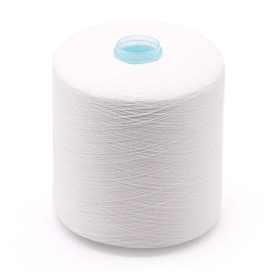 100% polyestergarens van OEM 20/2 30/2 40/2 50/3 voor 100-500g
