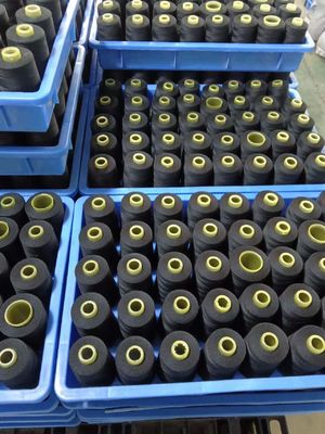 40s/2 40/2 20/2 20/3 100% gesponnen polyester naaigarn Gewicht g/bal 125G kruissteek