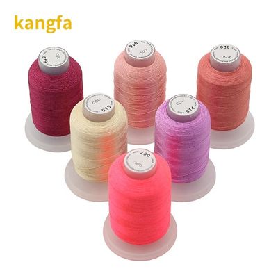 40 kleuren 100% polyester borduursnoer Set Kit 120d/2 500m Voor quilt steken