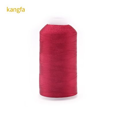 120 g Nettogewicht 120D/2 Hoge sterkte Kleurvastheid Polyester borduurdraad voor Spot